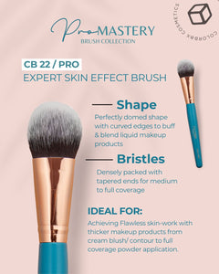 CB PRO MASTERY BRUSH SET