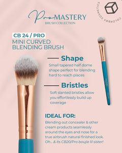 CB PRO MASTERY BRUSH SET