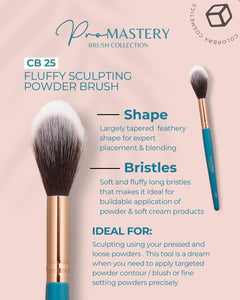 CB PRO MASTERY BRUSH SET